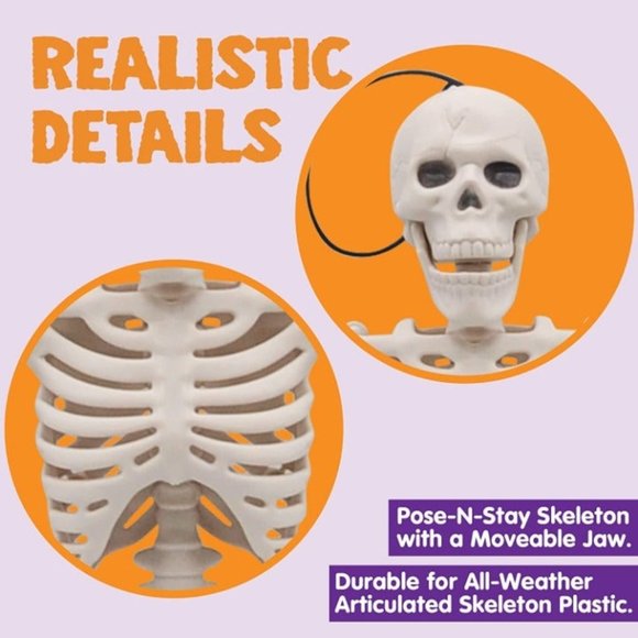 2 Packs 16" Posable Halloween Skeletons, Full Body Posable Joints Skeletons - Picture 6 of 8